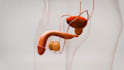 make 3d medical animation video