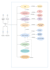 make professional use case, erd, class and data flow diagram