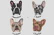 do cat dog and pet face embroidery digitizing within hours