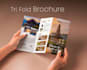 design professional brochure for your business