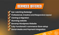 professionally clone, redesign and revamp wordpress website