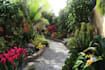 do a landscape design, garden design and pool design