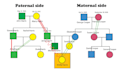 design accurate digital genograms for social work, psychology, and medical