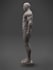 anatomical 3d human model, texture,fix stl file,statue, gcode 3d printable model