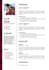 make you a CV or a resume in hours