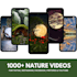 nature reels bundle, nature faceless video reels,