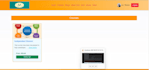 professional website development services for your business needs