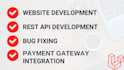 develop rest apis, integrate apis, and build robust backends