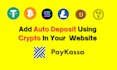 integrate auto deposit using paykassa wallet into your website