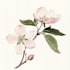 make a beautiful botanical or floral illustration