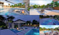 create your garden, backyard, patio landscape design
