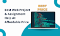 do web assignment and project help