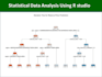 do statistical data analysis using r, stata, python,spss,