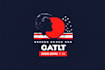 do modern and update political campaign logo