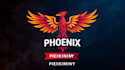 create professional falcon phoenix logo