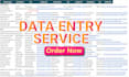 perform accurate data input, web research, copy paste work, and excel data entry