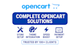design, customize, fix or upgrade your opencart store