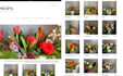 design a stunning flower website shopify store bouquet florist garden