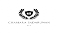 create seamless allover logo patterns for your brand
