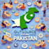 outsource anything you need from pakistan