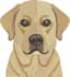 digitize image for embroidery digitizing in a few hours