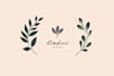 design feminine, botanical boho logo design