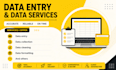 do excel data entry work with accuracy