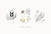 design boho chic hand drawn botanical logo
