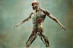 design scientific illustrations and medical figures