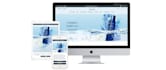 clone, revamp, copy shopify store or website design