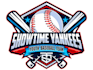 design unique baseball logo