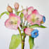 botanical flower plants scientific illustration