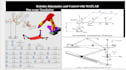 tasks about robotics kinematics with simscape simulation