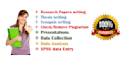perform statistical data analysis and thesis assistance