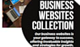 do best  business website designing