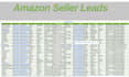 do amazon seller lead and ebay seller leads