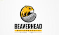 design a professional racing and automotive logo