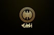 do professional currency, crypto token, and crypto coin logo