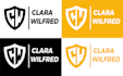 do brand logo design for your business and brand style guide