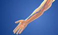 do professional 3d medical animation, 3d surgery, medicine rending, 3d animation