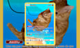 create awesome custom tcg cards for you or your project