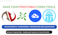 develop custom trading bot for ninjatrader 8, thinkorswim, tradingview and atas