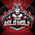 design twitch overlay, animated stream overlay, twitch logo, kick, screens