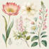 watercolor botanical illustrations of flowers