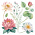 paint watercolour botanical illustrations