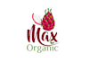 create fruit logo for your brand or business