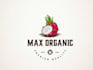 create professional and unique fruit logo design