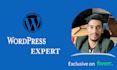 design a simple attractive wordpress website