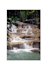 be your tour guide when visiting jamaica