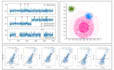 do r coding and programming, r studio, python jupyter notebook, excel projects